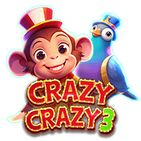 Crazy Crazy 3